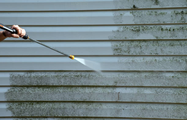 Best House Pressure Washing  in Forest Heights, TX
