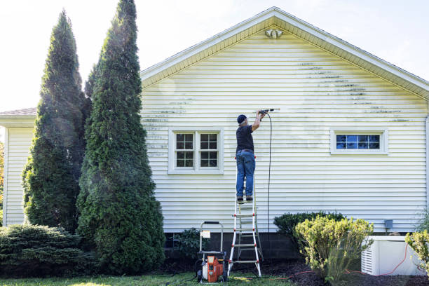 Best Deck Cleaning Services  in Forest Heights, TX