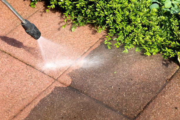 Best Power Washing Near Me  in Forest Heights, TX